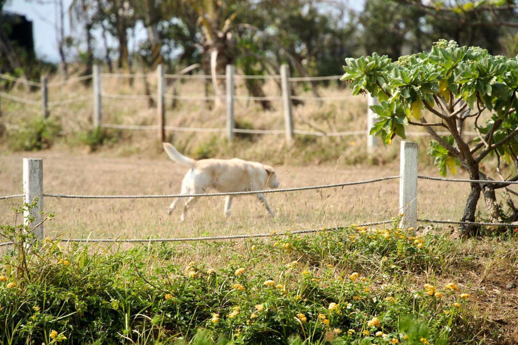Kenting Comic B&B&Spring Heng-ch'un Buitenkant foto