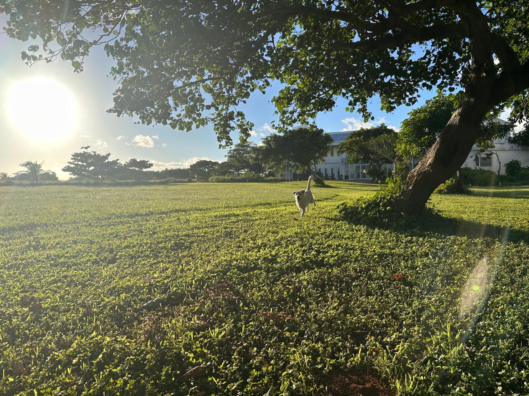 Kenting Comic B&B&Spring Heng-ch'un Buitenkant foto